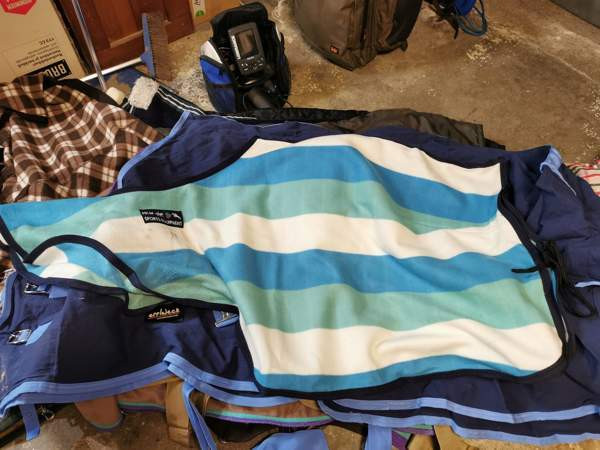 Pyllyloimi Kangasala – foto 1