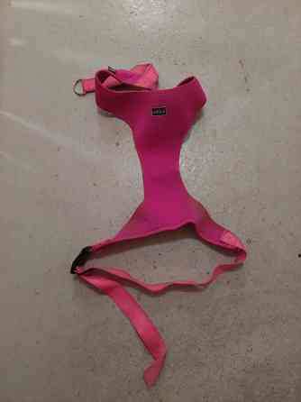 Ison koiran rukka valjaat Kontiolahti