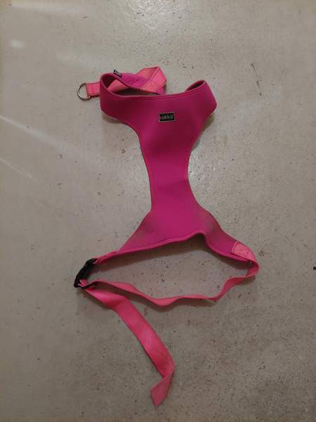 Ison koiran rukka valjaat Kontiolahti – foto 1