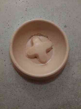 Iso koirankuppi Kontiolahti