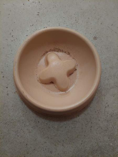 Iso koirankuppi Kontiolahti – foto 1