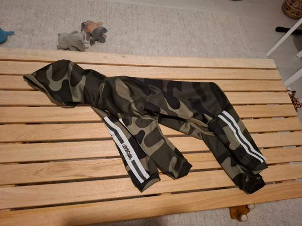 Koiran haalari Raahe - valokuva 1