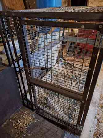 Koiran kuljetushäkki XL Liperi