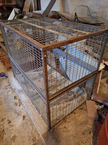 Koiran kuljetushäkki XL Liperi - valokuva 3