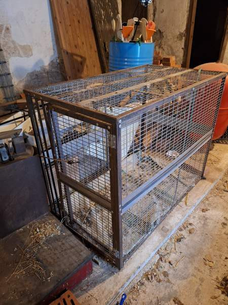 Koiran kuljetushäkki XL Liperi - valokuva 1