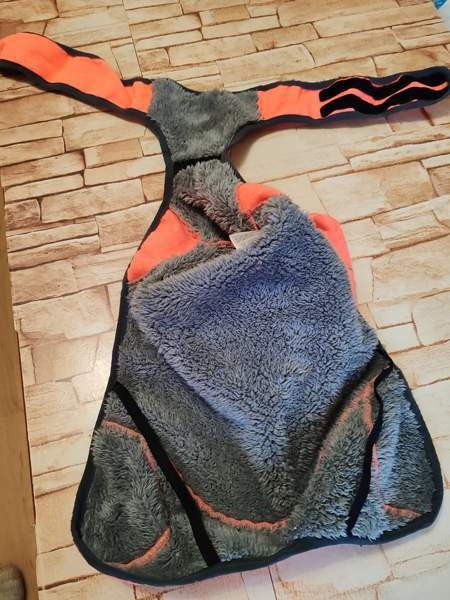 Koiran talvivaate Kaarina - valokuva 2