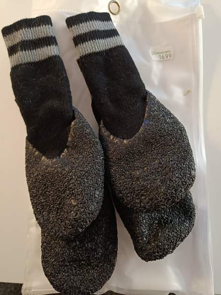 Koiran tossut Kontiolahti – foto 1