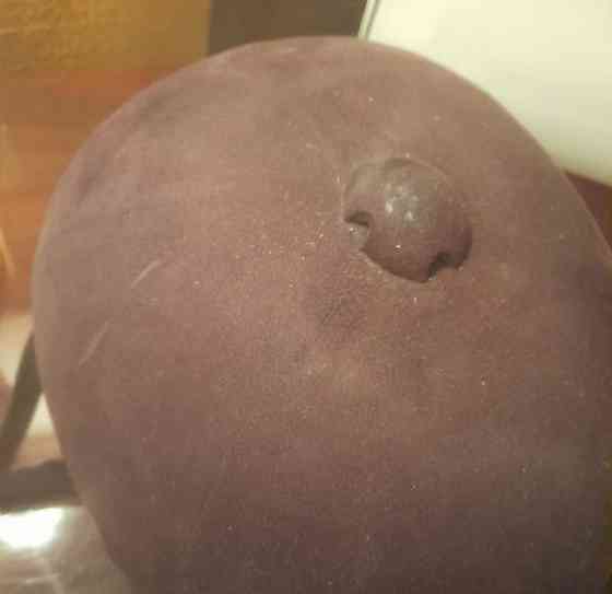 Ratsastuskypärä ruskea 58 Helsinki