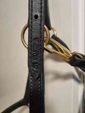 Wahlsten nahkariimu, Full, uusi Turku