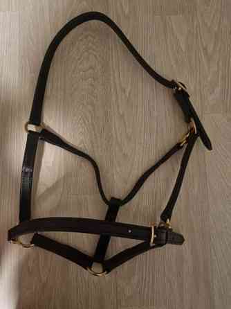 Wahlsten nahkariimu, Full, uusi Turku