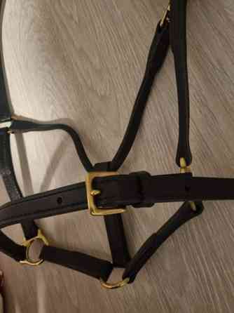 Wahlsten nahkariimu, Full, uusi Turku