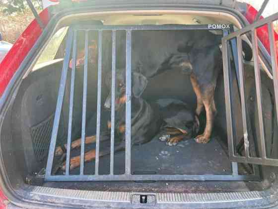 Koiraveräjä Pomox Kokemäki