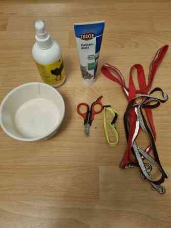 Kissalle Jaervenpaeae