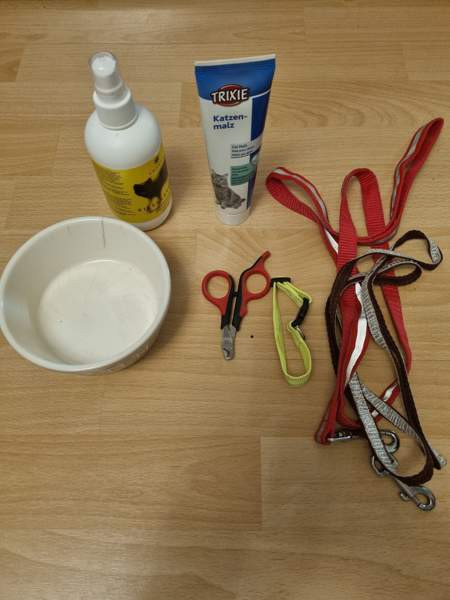 Kissalle Jaervenpaeae – foto 1