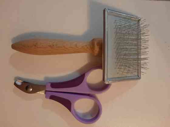 Kanin kynsisakset ja harja Vantaa