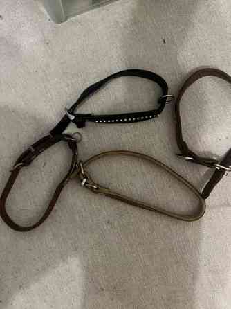 Varattu Koiran pantoja Tampere