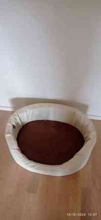 Koiran- kissan peti Tampere