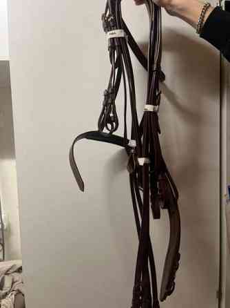 Ruskeat nahkasuitset Keminmaa