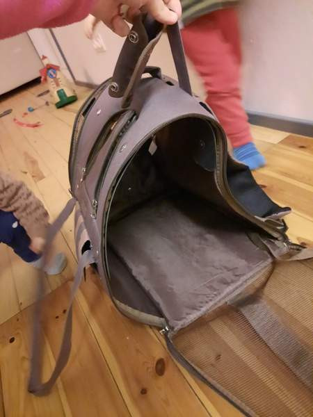 Kissan kantoreppu Ylivieska - photo 4