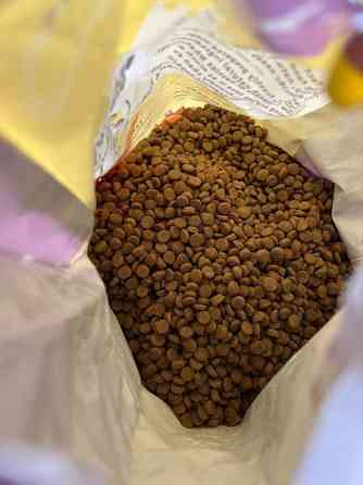 Barking Heads Fat Dog Slim 12 kg Turku