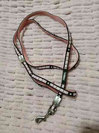 Talutin pienelle koiralle Alajärvi