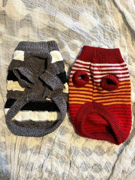 Koiran villapaita, 25 Nurmijaervi - photo 2