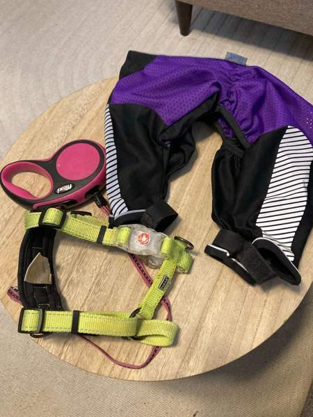 Koiran tarvikepaketti Oulu – foto 1