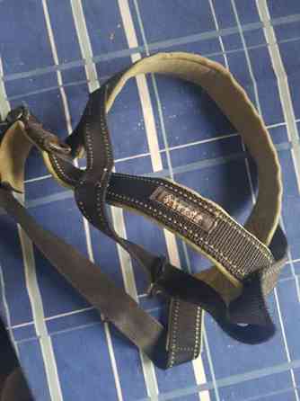 Koiran valjaat ja jotain muuta.. Espoo