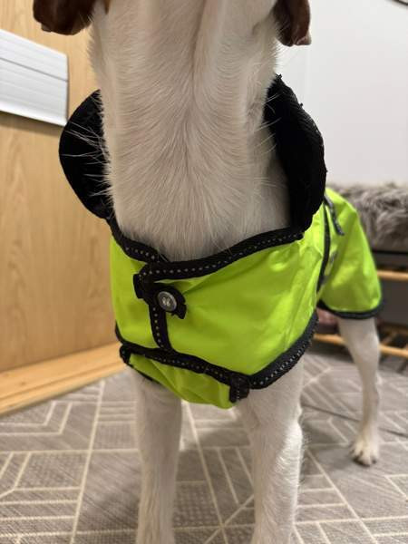 Heijastintakki koko: 45 Nurmijaervi - photo 8