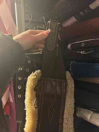 Kentucky karvapanssari Tampere