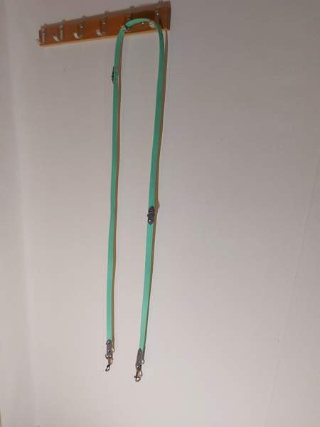 Hihnoja Raasepori – foto 4