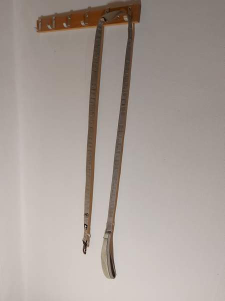 Hihnoja Raasepori – foto 2