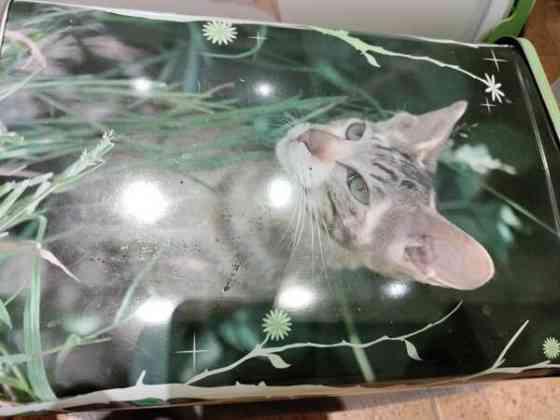 Purkki 2 kpl Kaarina