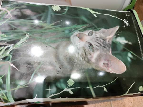 Purkki 2 kpl Kaarina - photo 3