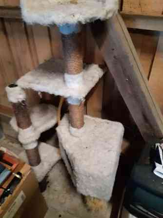 Raapimispuita Harjavalta