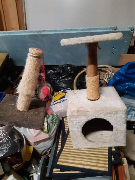 Raapimispuita Harjavalta – foto 1