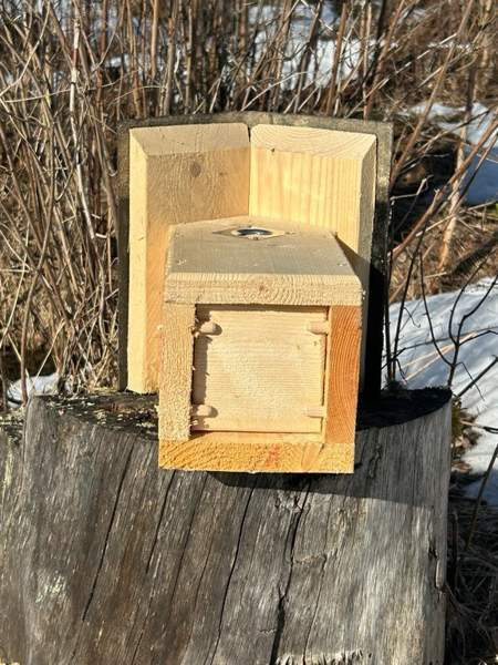 50kpl laadukkaita linnunpönttöjä Parkano - photo 4