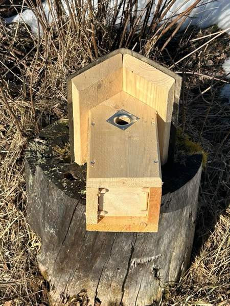 50kpl laadukkaita linnunpönttöjä Parkano - photo 3