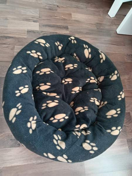 Koiranpeti Jyväskylä - valokuva 1