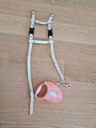 Kissan valjaat ja fleksi Эспоо