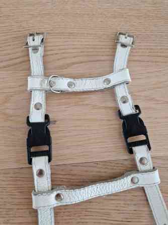 Kissan valjaat ja fleksi Эспоо