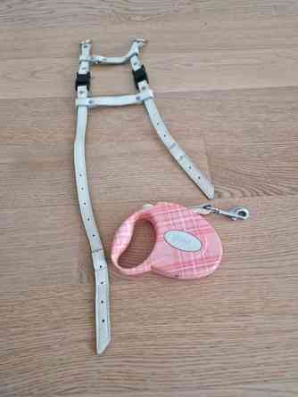 Kissan valjaat ja fleksi Эспоо