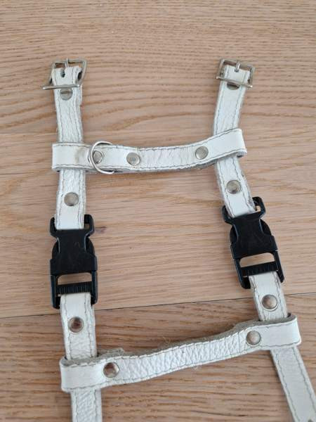 Kissan valjaat ja fleksi Espoo - photo 3