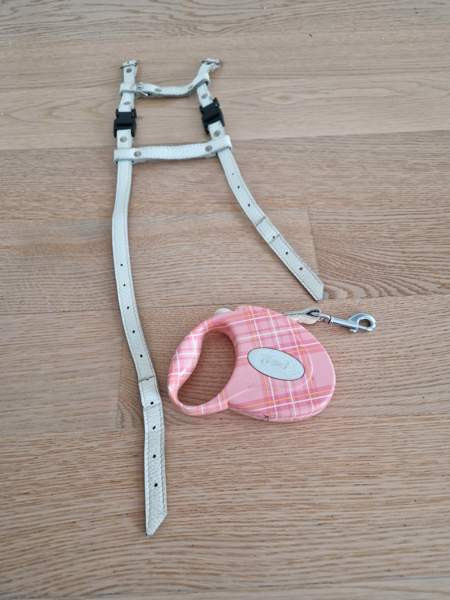 Kissan valjaat ja fleksi Espoo - photo 1