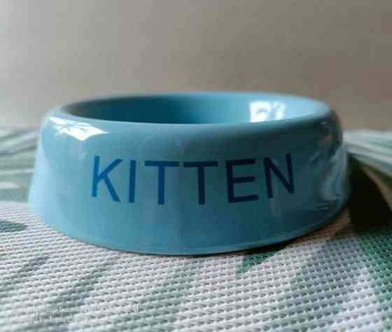 Ruokakuppi Kitten Turku