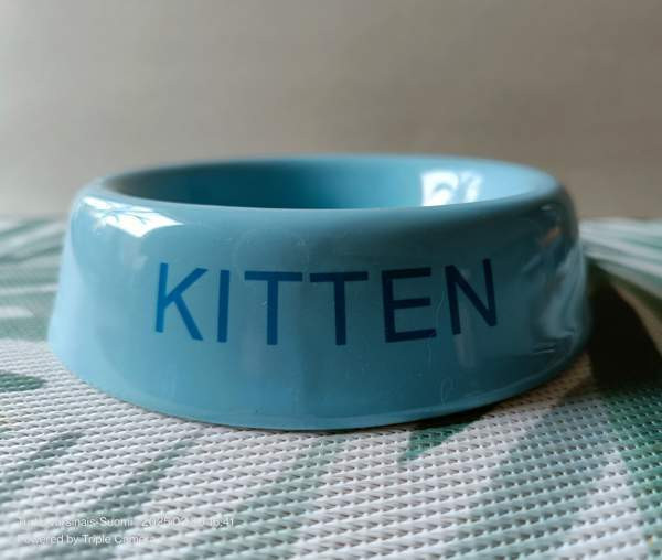 Ruokakuppi Kitten Turku - valokuva 1
