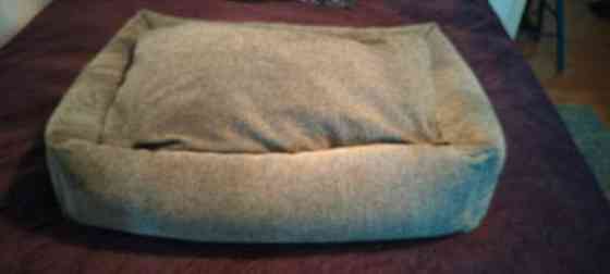 Koiran peti Leppävirta