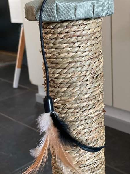 UUSI raapimispuu Туусула - изображение 3