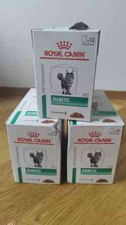 Royal canin diabetic kissanruoka Espoo