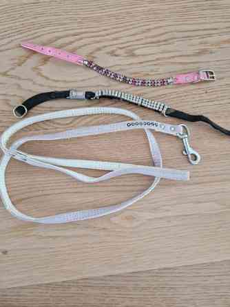 Kissan kaulapanta x 2 ja talutushihna Эспоо